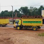 Falm Oil