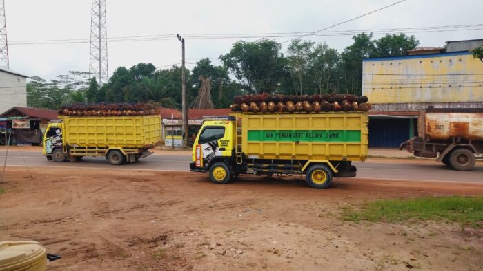 Falm Oil