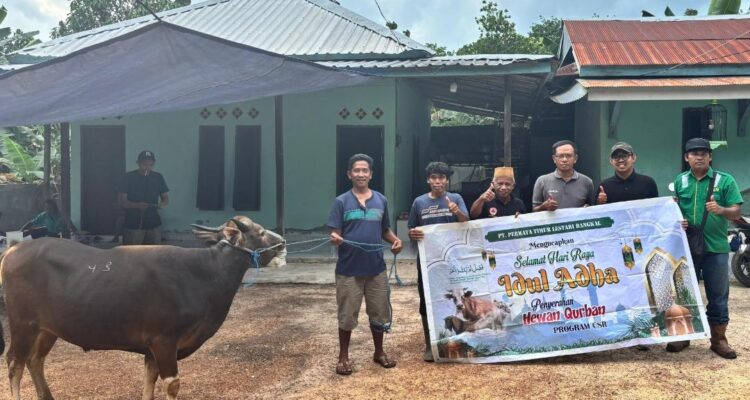 Bantuan Sapi