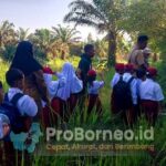 dinas pendidkan seruyan