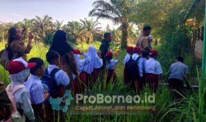 64d2528b-3a03-4fe2-9738-ae5d2108c9c6 dinas pendidkan seruyan