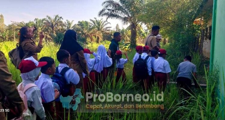 dinas pendidkan seruyan