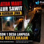 Laka tunggal