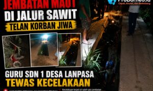 Laka tunggal
