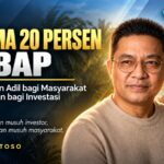 plasma 20 persen