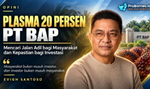 Plasma 20 Persen PT BAP: Mencari Jalan Adil bagi Masyarakat dan Kepastian bagi Investasi plasma 20 persen