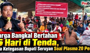 Warga Bangkal Bertahan 15 Hari di Tenda, Minta Ketegasan Bupati Seruyan Soal Plasma 20 Persen tuntut plasma