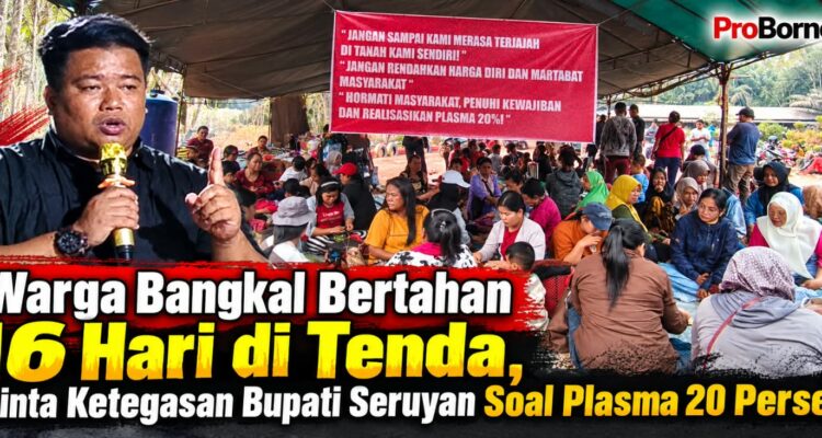 tuntut plasma