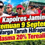 tuntut plasma
