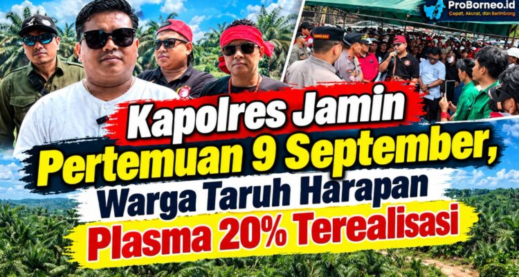 tuntut plasma