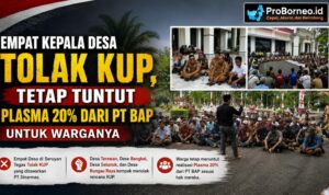 empat kades tolak kup