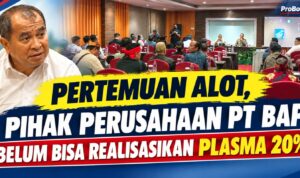 tolak realisasi plasa