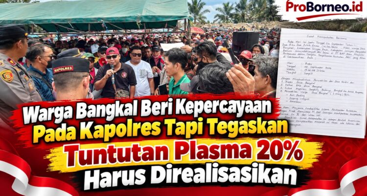 tuntut plasma 20%
