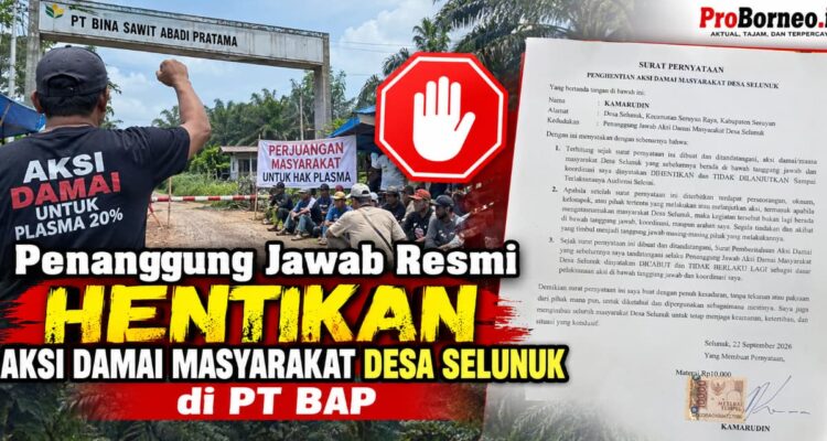 aksi damai