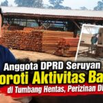 aktivitas bansaw kayu