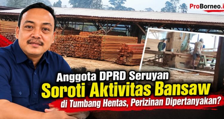 aktivitas bansaw kayu