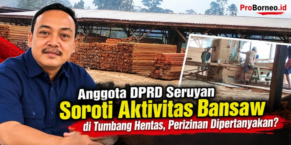 aktivitas bansaw kayu