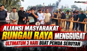 aliansi masyarakat