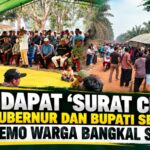 surat cinta