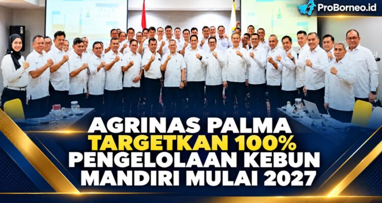 pengelolaan kebun