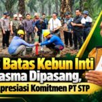 pasang patok batas