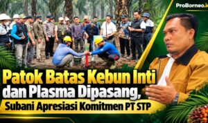pasang patok batas