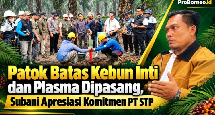 pasang patok batas