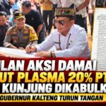 penyelesaian aksi damai