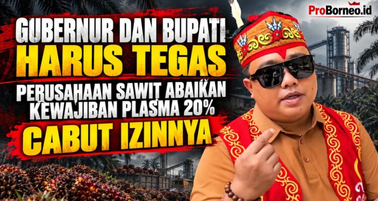 cabut izin perusahaan